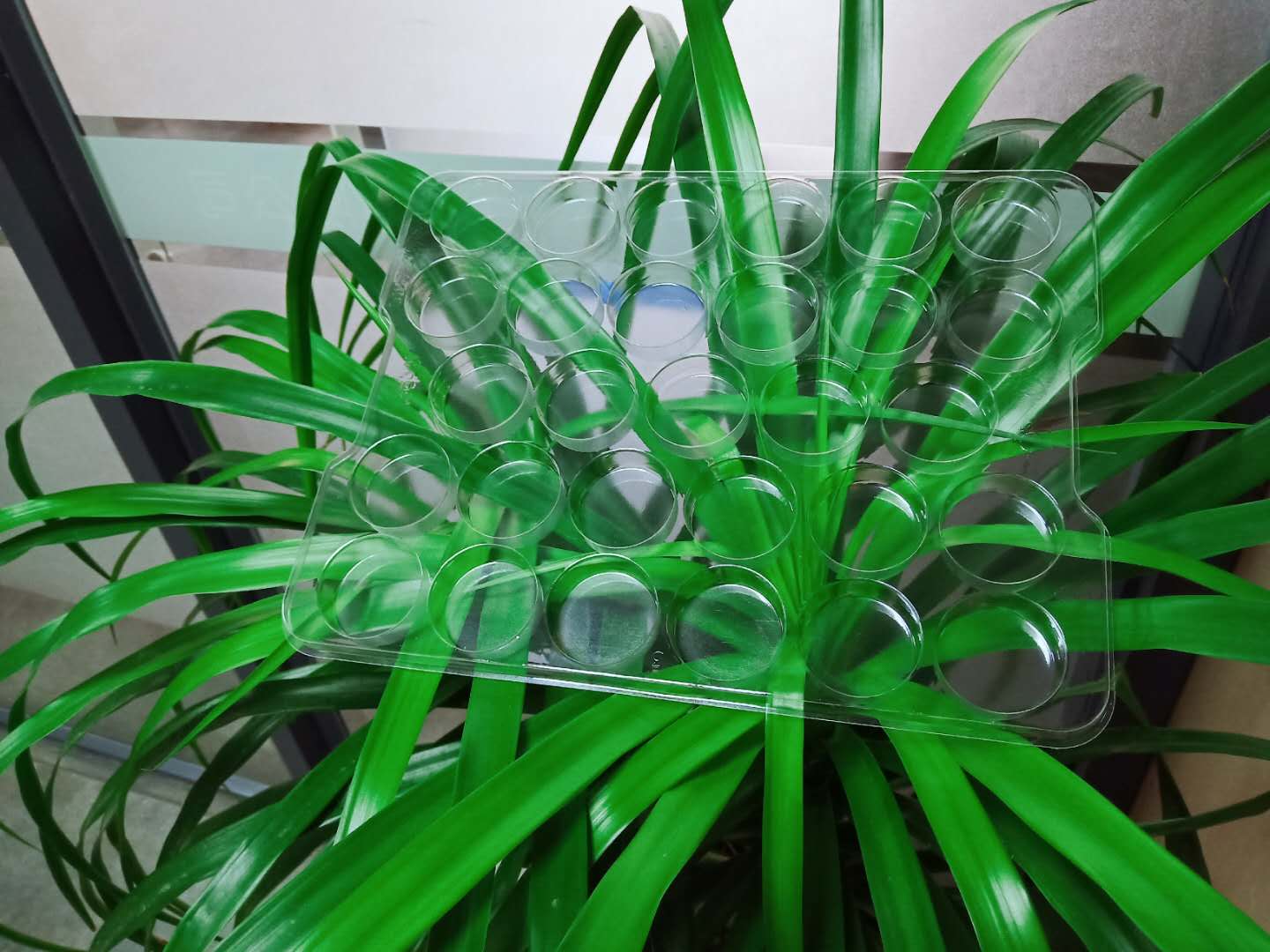 定製吸塑包裝