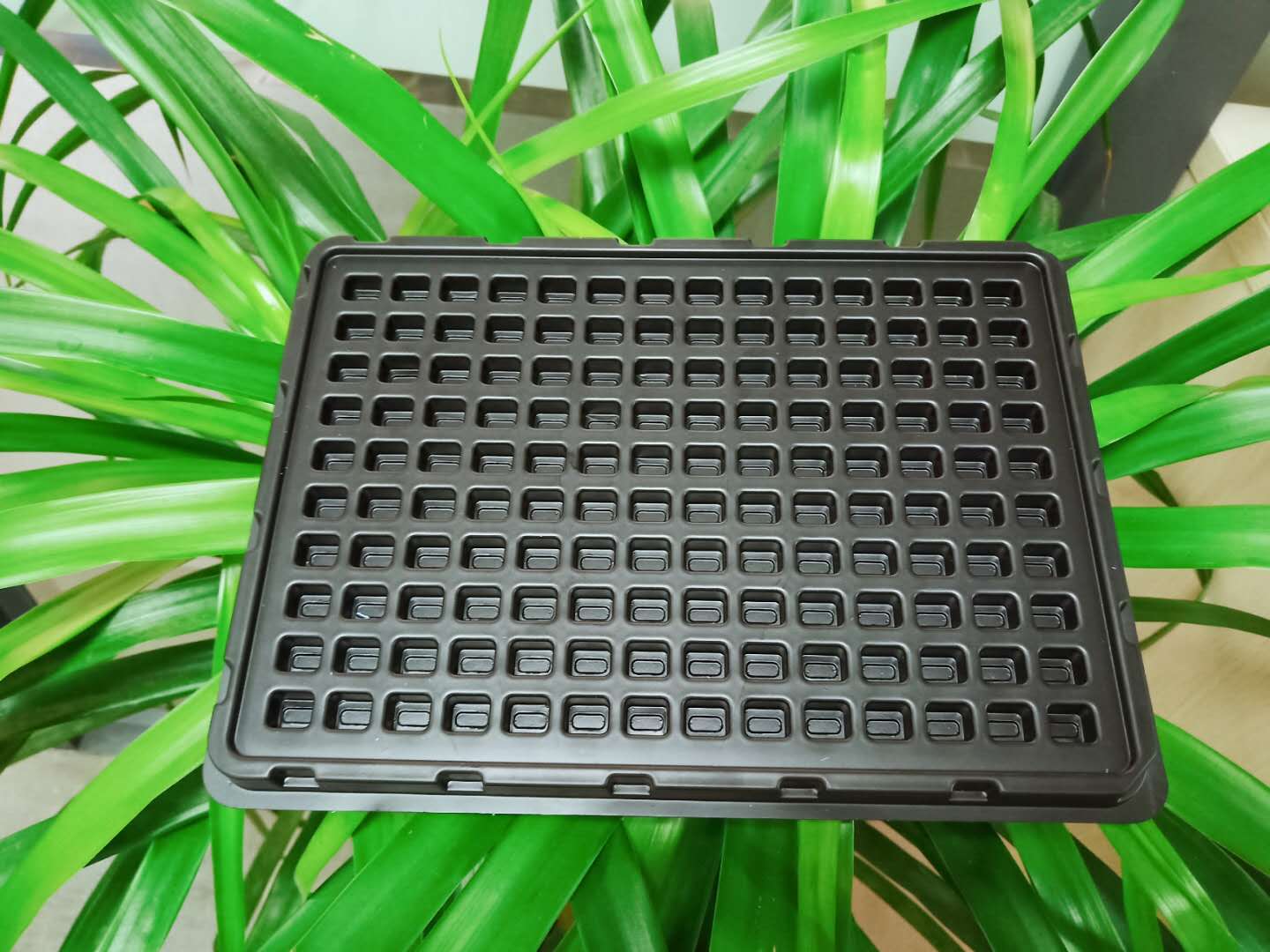 吸塑包裝原（yuán）材（cái）料